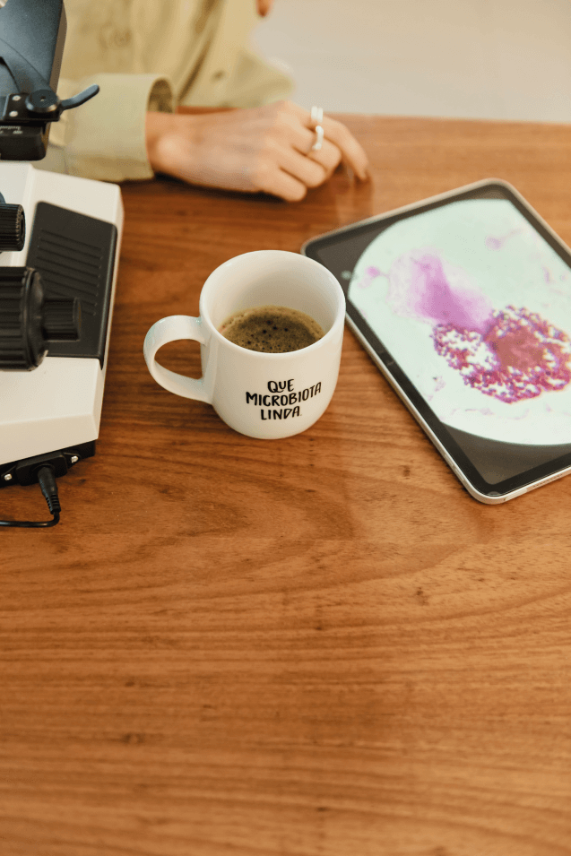 2.1-Seção---Abordagem-