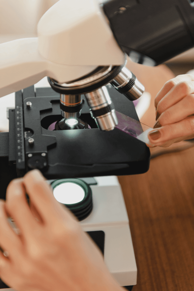 2.2-Seção---Abordagem-